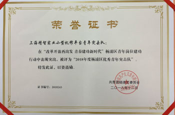 集团公司小机平台青年突击队荣获“2018 年度杨浦区优秀青年突击队”称号